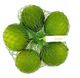 Picture of 8 Pack Limes