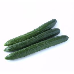 Picture of Cucumber - Continental Each