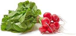 Picture of Radish - Red Bunch