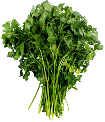 Picture of Continental Parsley Bunch