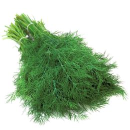 Picture of Dill Bunch