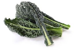Picture of Kale - Tuscan Bunch