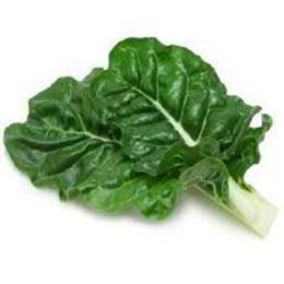 Picture of Silverbeet Bunch