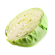 Picture of Cabbage - Plain Half 