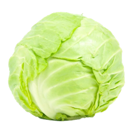 Picture of Cabbage - Plain Whole