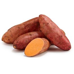 Picture of Sweet Potato - Gold Medium