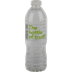 Picture of THE BOTTLE OF TRUTH WATER 600ML