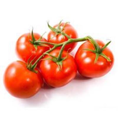 Picture of Tomatoes- Truss Each