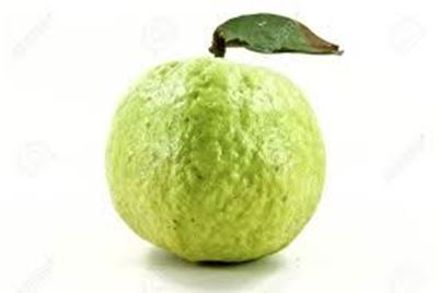 Picture of Guava