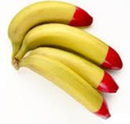 Picture of Bananas - Organic