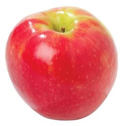 Picture of Apple - Pink Lady Large