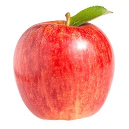 Picture of Apple - Royal Gala Large Each