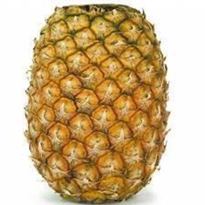 Picture of Pineapple - Topless XL