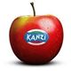 Picture of Apple - Kanzi Large
