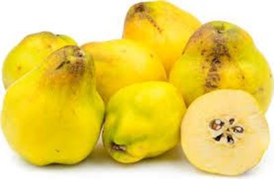 Picture of Quince
