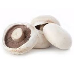 Picture of Mushroom - Flat White Large Per (250g)
