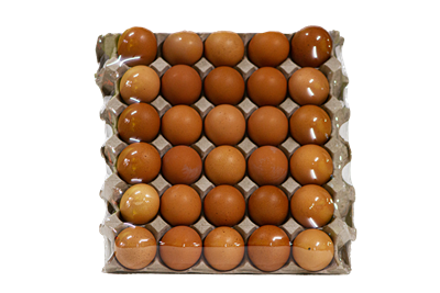 Picture of EGGS - 1.8Kg Free Range