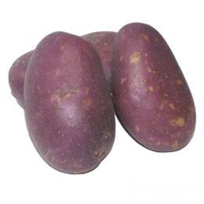 Picture of Potato - Royal Blue