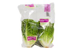 Picture of Lettuce - Baby Cos Green Twin Pack