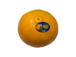 Picture of Orange - Easy Peel
