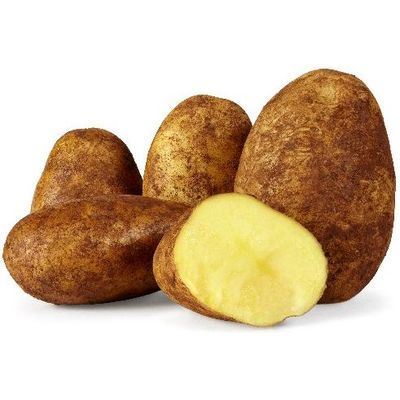 Picture of Potato - Dutch Cream