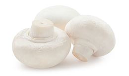 Picture of White Cup Mushroom (Per 100g)