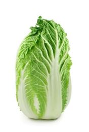 Picture of Chinese Cabbage Each (Approx 1.6kg)