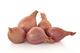 Picture of Shallot - Brown 200g