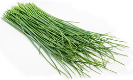 Picture of Herb - Onion Chive