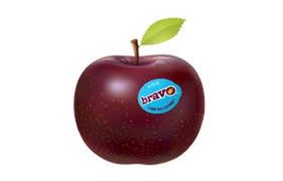 Picture of Apple - Bravo Large