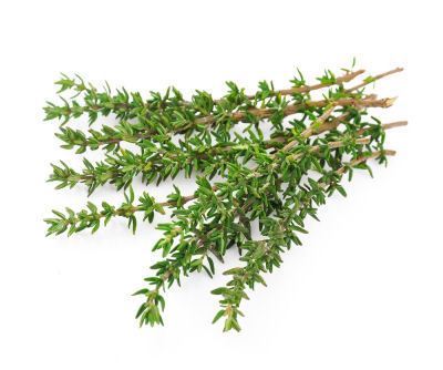 bunch of thyme meaning