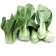 Picture of Bokchoy Baby