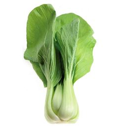 Picture of Bokchoy Large