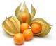 Picture of Cape Gooseberry Punnet