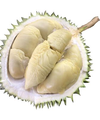 Picture of Durian - D24 XO