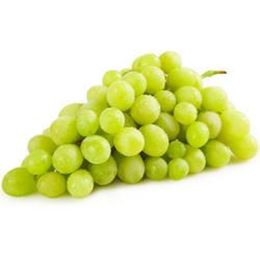 Picture of Grape - White Globe Seedless 500G
