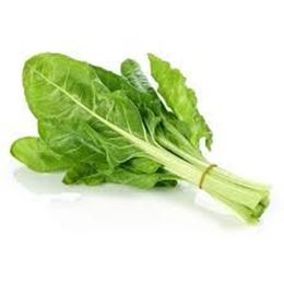 Picture of Green Chard Bunch