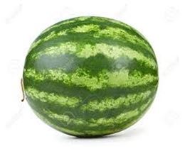 Picture of Watermelon -Whole Medium Each