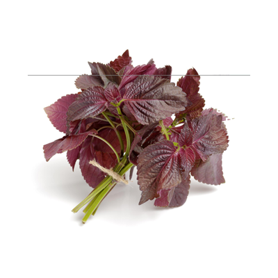 Picture of Herbs - Perilla Bunch