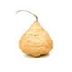 Picture of Yam Bean - Each