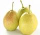 Picture of Pears - Fragrant