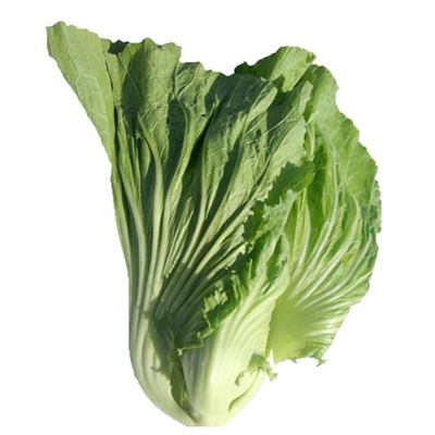 Picture of Cabbage - Heart Mustard