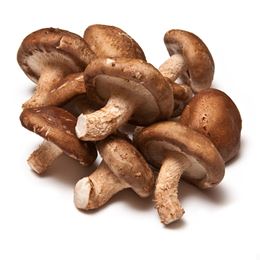 Picture of Mushroom - Australian Shitake Per 100G