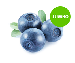 Picture of Blueberries- Jumbo