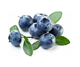 Picture of Blueberries Each