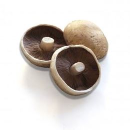 Picture of Mushroom - Swiss Flat Per 100g