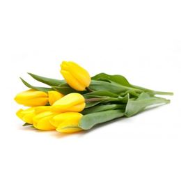 Picture of Flowers - Tulips Bunch