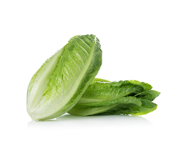 Picture of Lettuce - Baby Cosberg