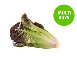Picture of Lettuce PP - Baby Cos Red 2 For $4