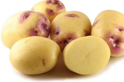 Picture of Potato - Kestrel Each